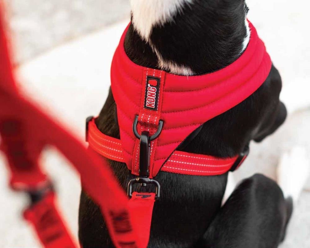 KONG Comfort Harness freeshipping - The Pupper Club